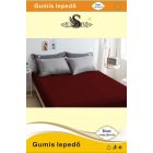 lisin-140-1